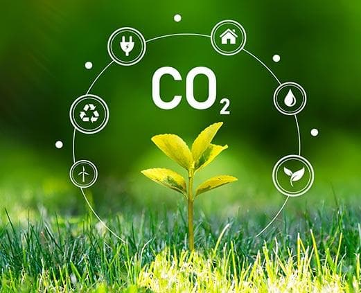 Refrigeranti a Co2 per ridurre l'impatto ambientale Refrigeranti a Co2 per ridurre l'impatto ambientale